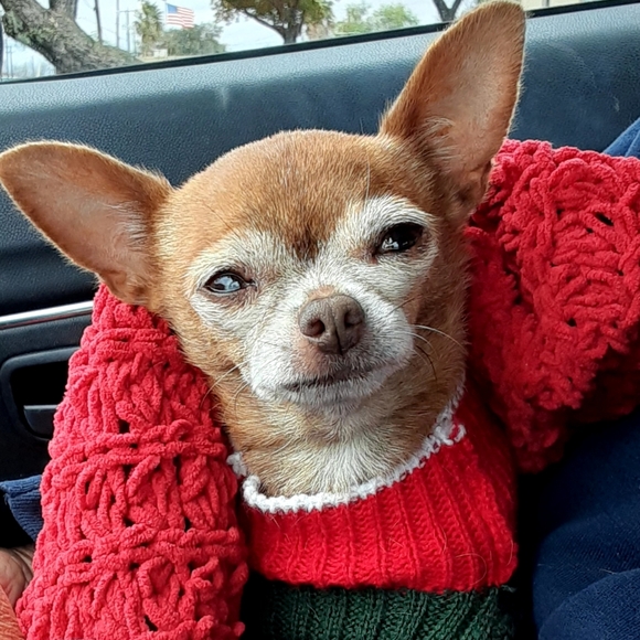 Meet your Posher, Mel - Picture 5 of 5